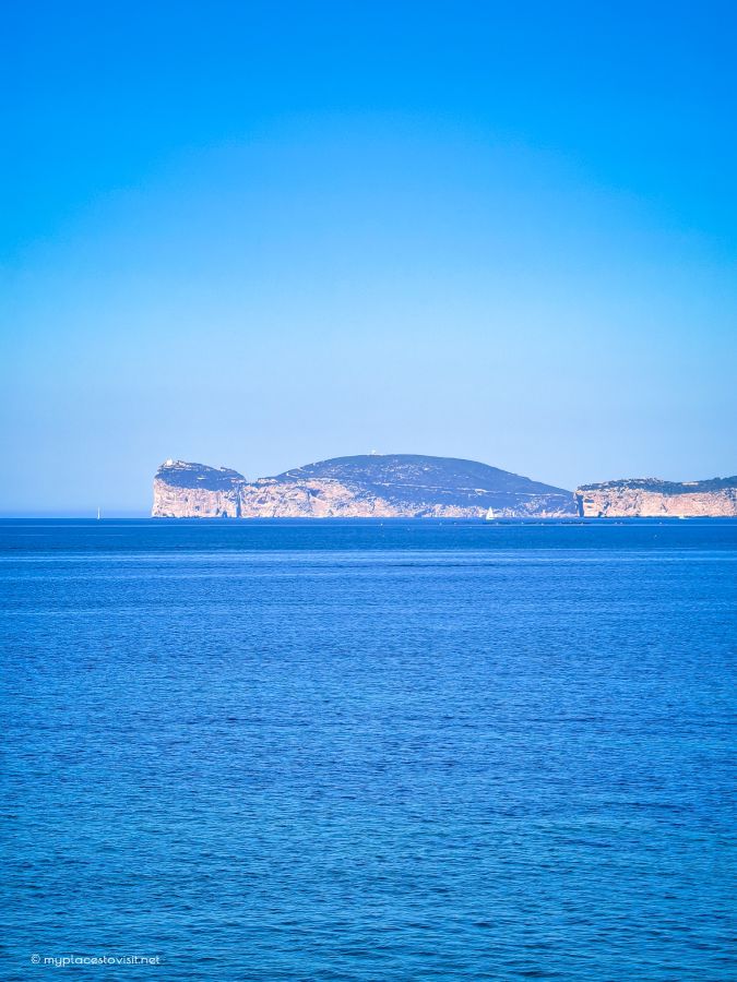 капо кача (capo caccia)